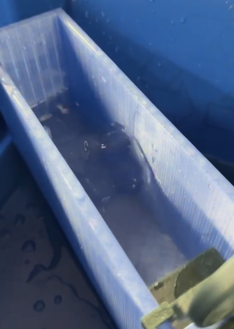 image4.png