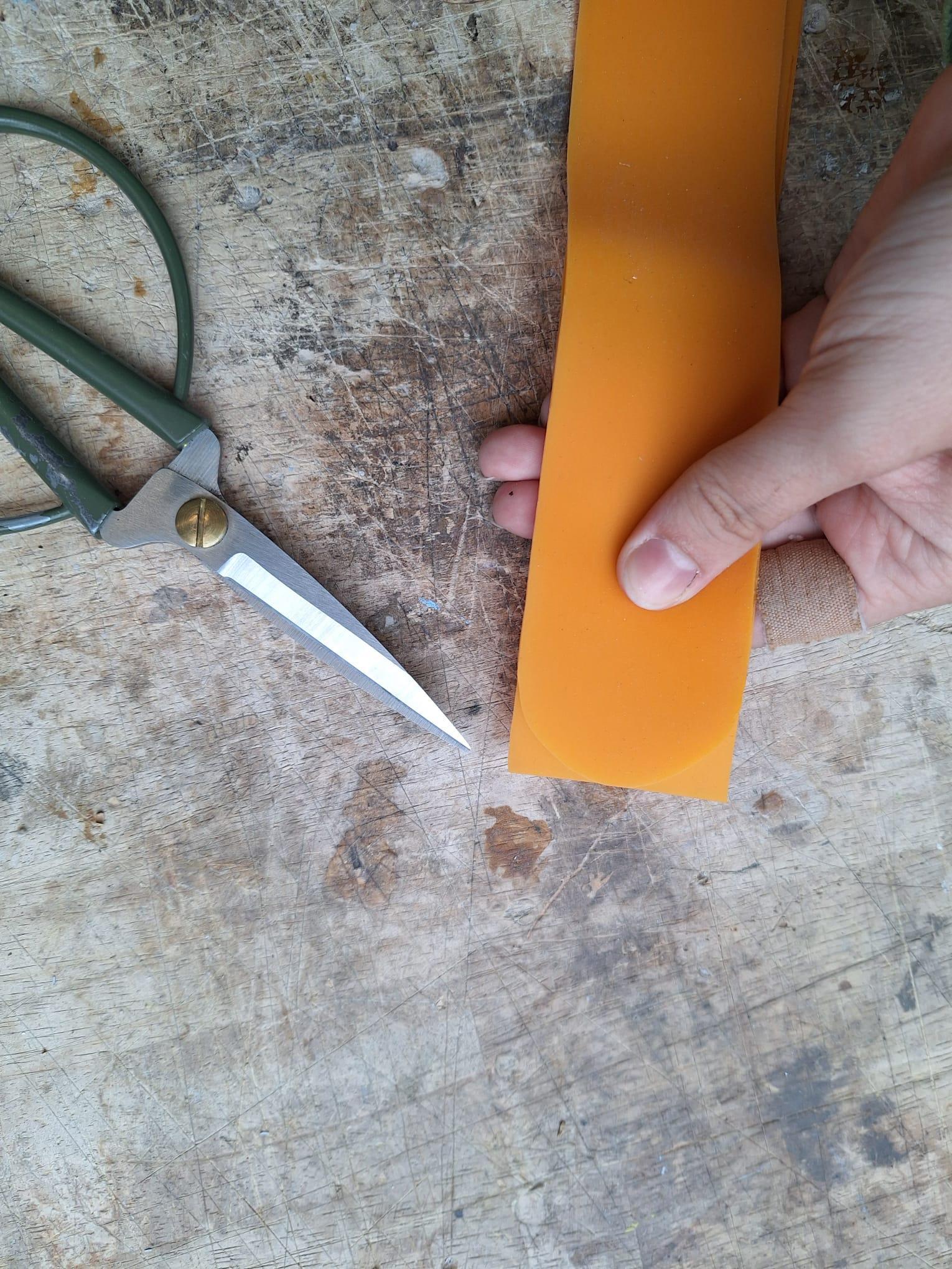 image_png (18).png