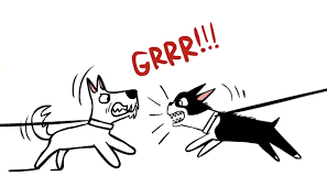 images.png