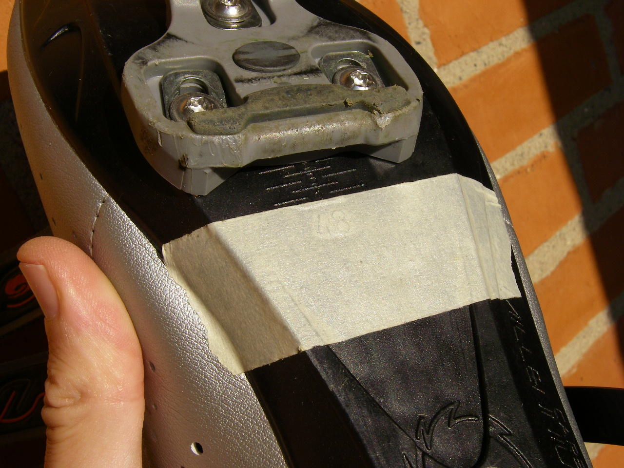 imgp0728.jpg