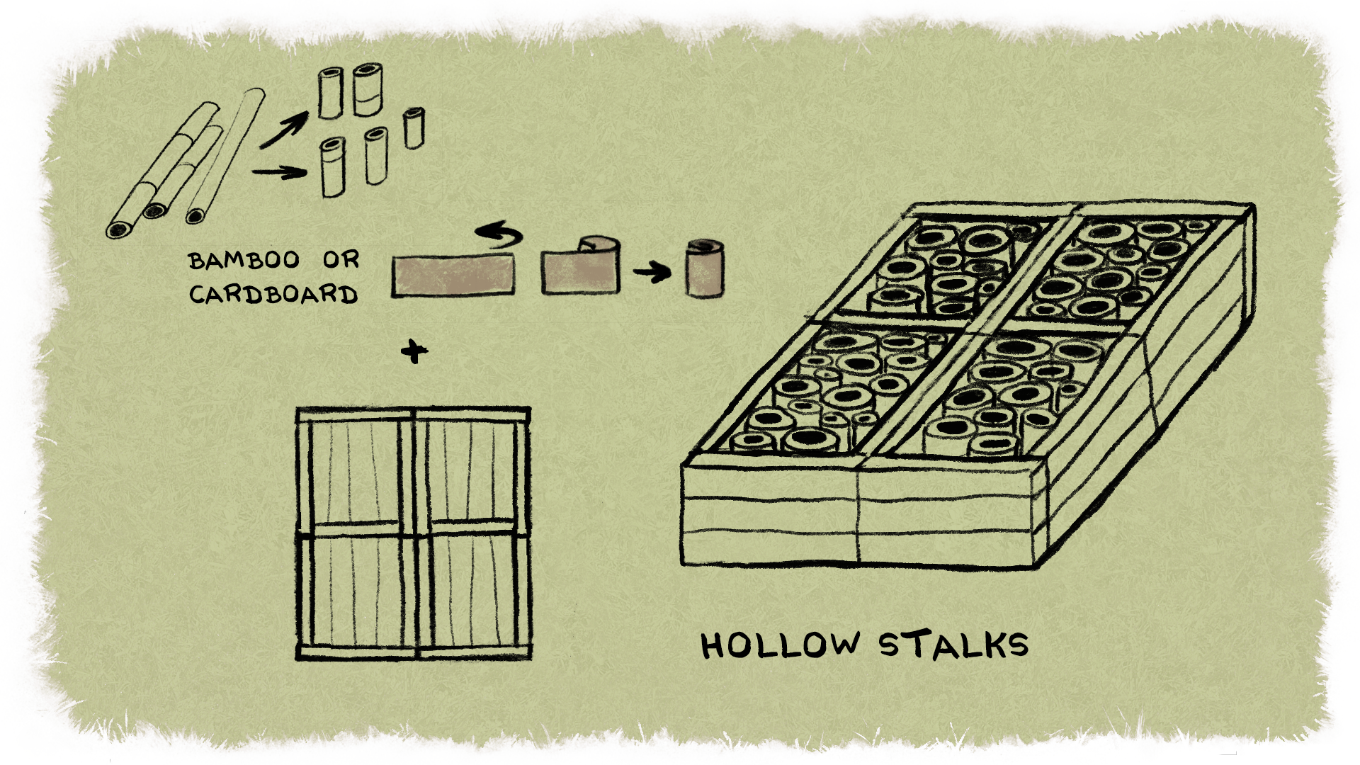 insect_hotel_0007_Hollow-Stalks.png
