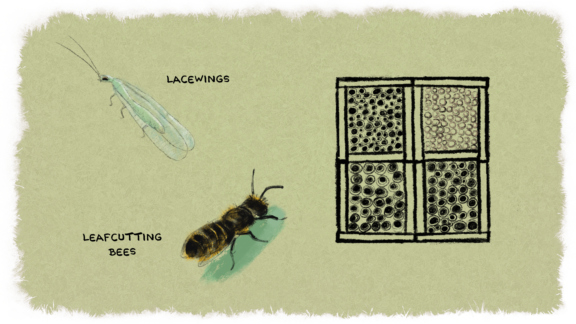 insect_hotel_0008_HollowStalks2.png