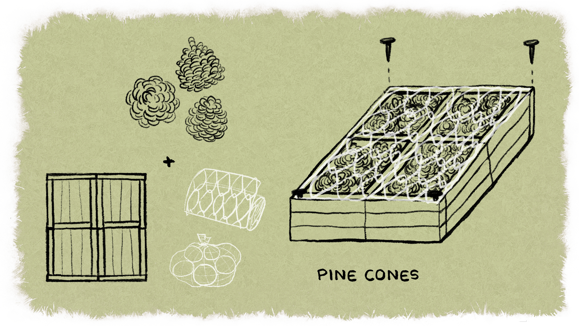 insect_hotel_0009_Pinecones.png