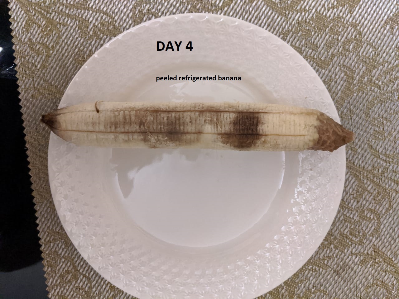 inside banana refrig day 4.jpg