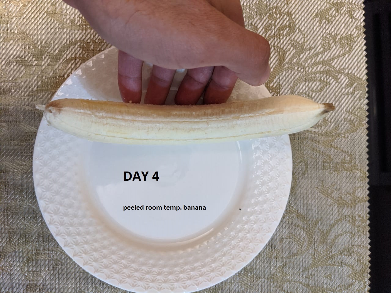 inside banana room temp day 4.jpg