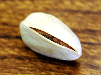 instructibles_pistachio_01.jpg