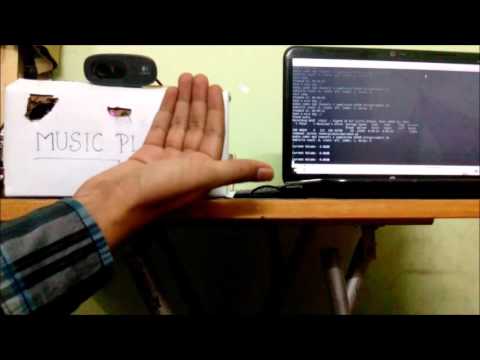 intelligent assistant (Speech cum gesture control music system)