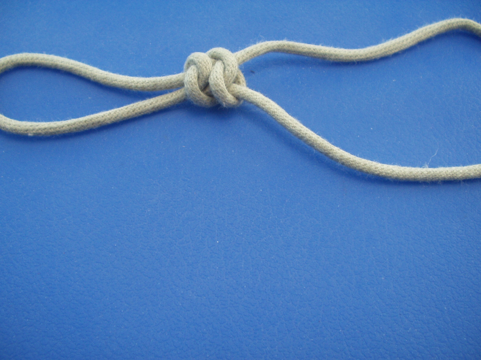 interlocked snake knot 011.JPG