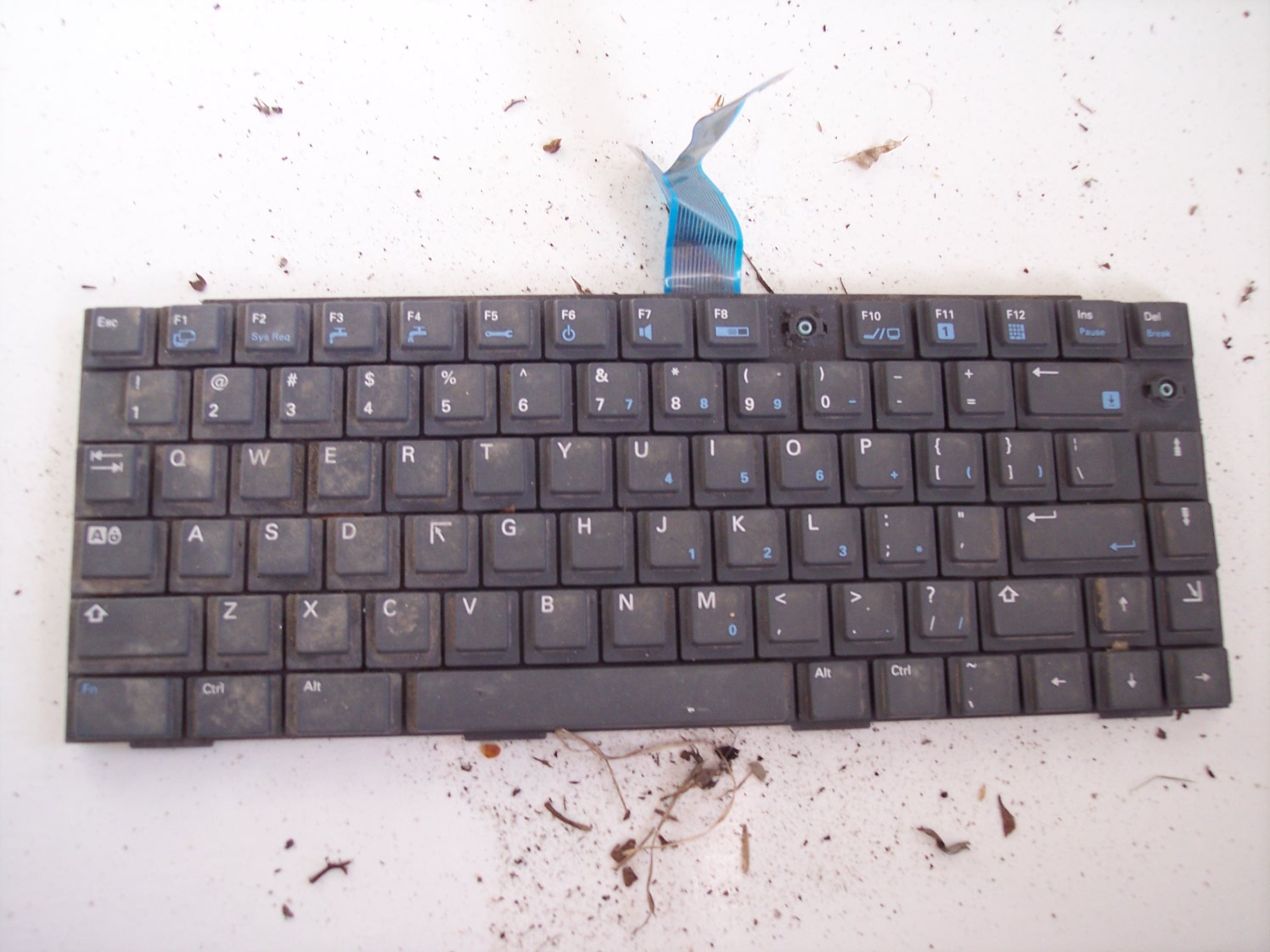 keyboard05.JPG