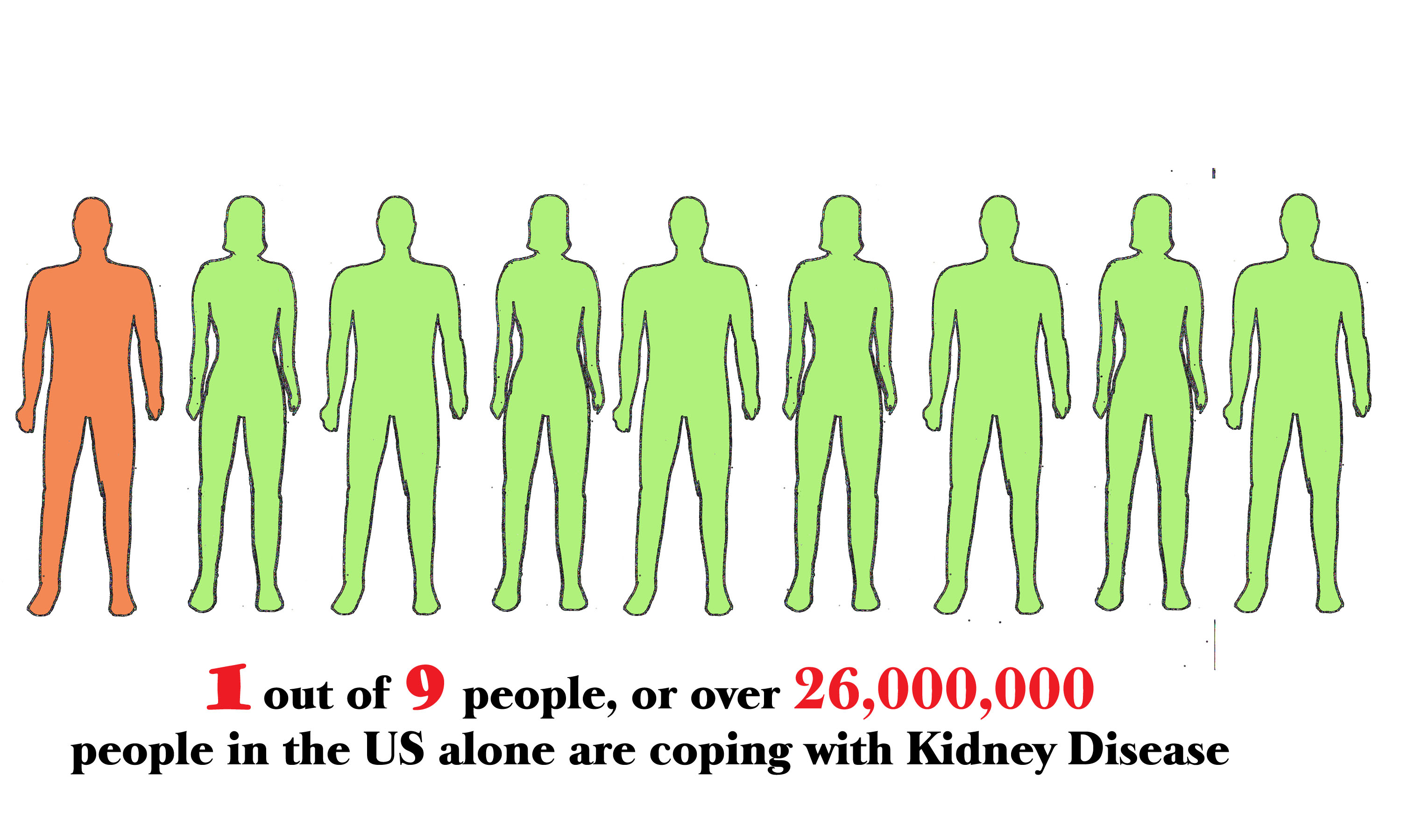 kidney disease copy.jpg