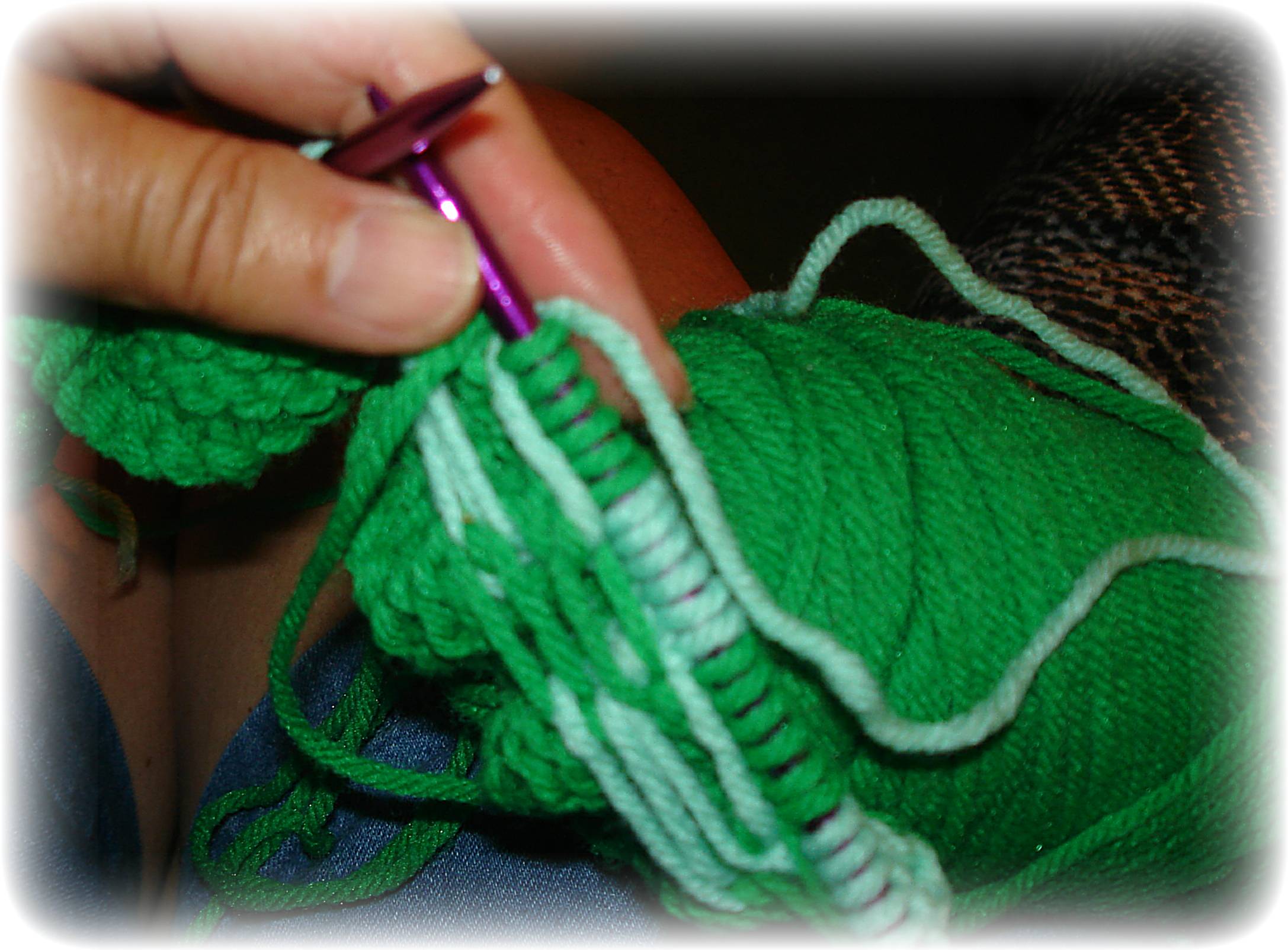 knit a cosy 009.jpg