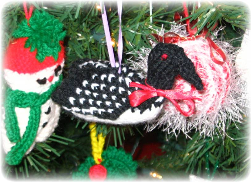 knitted loon 005.jpg