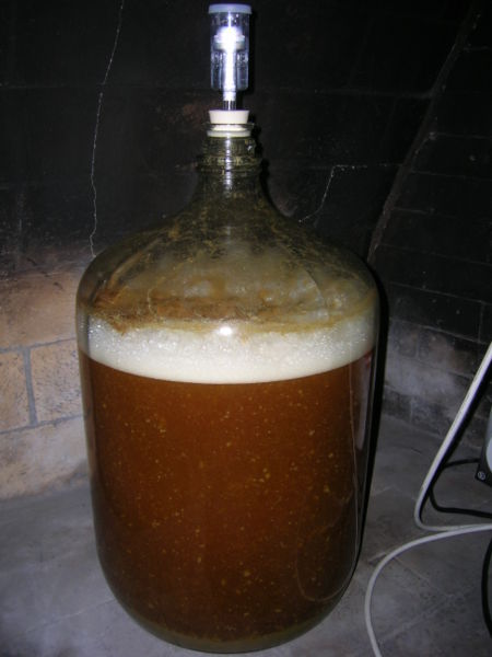 krausen.jpg