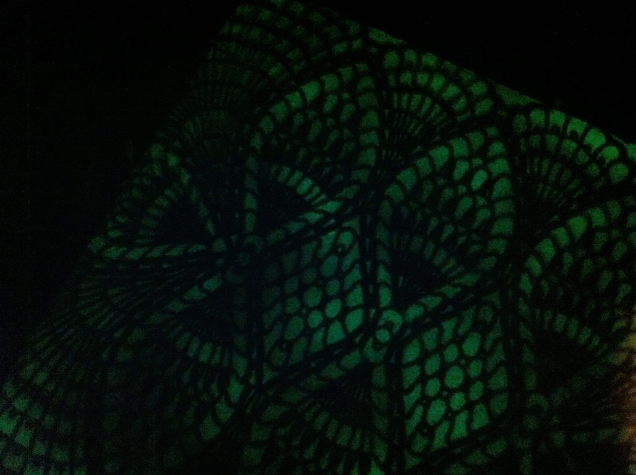 lace27.JPG