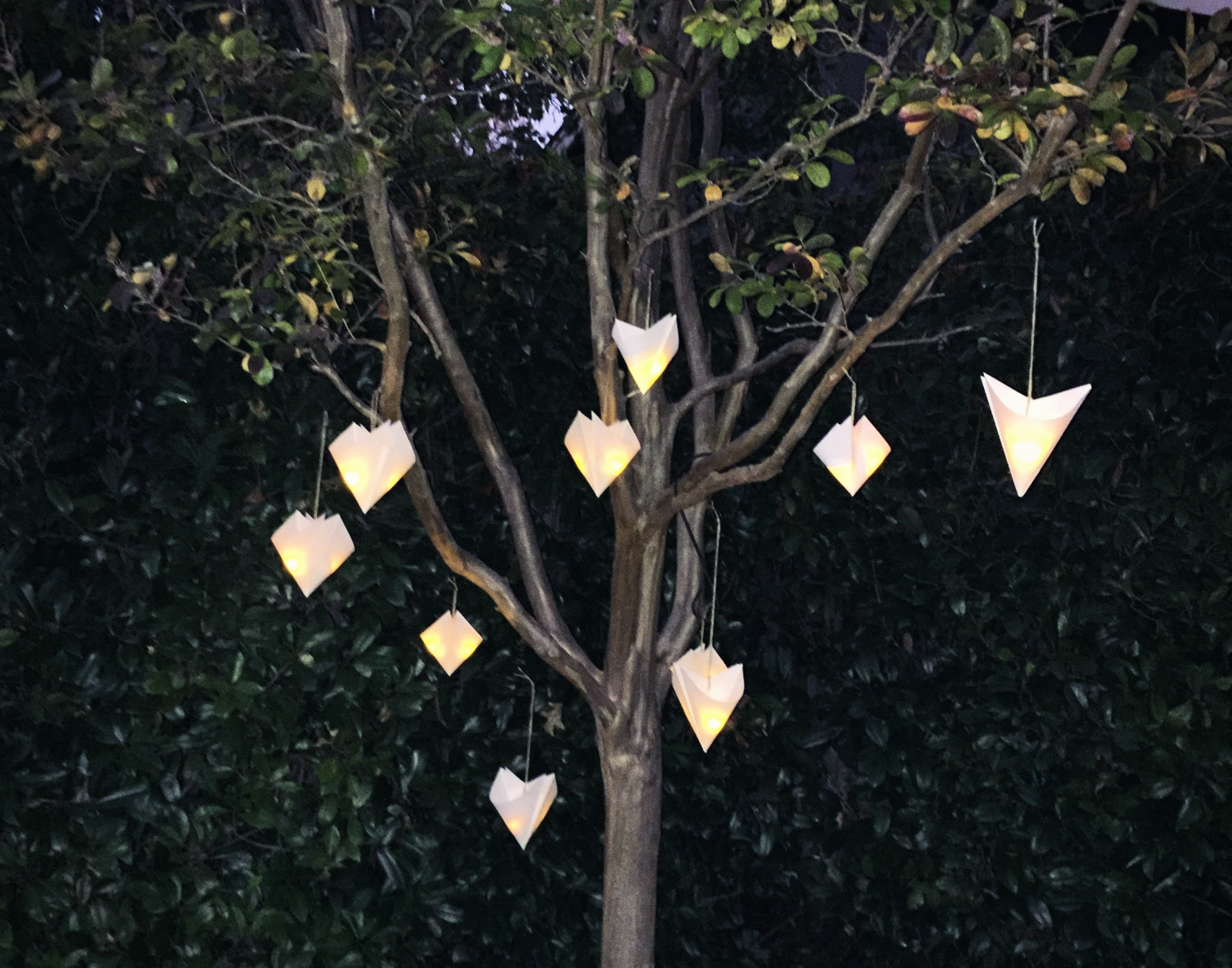 lanterns hanging.jpg