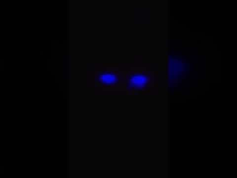 laser eye doll