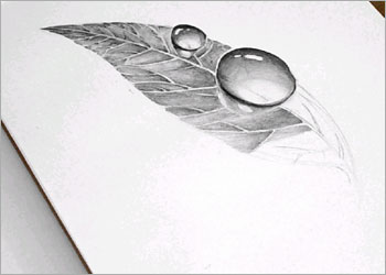leaf-drop-11.jpg