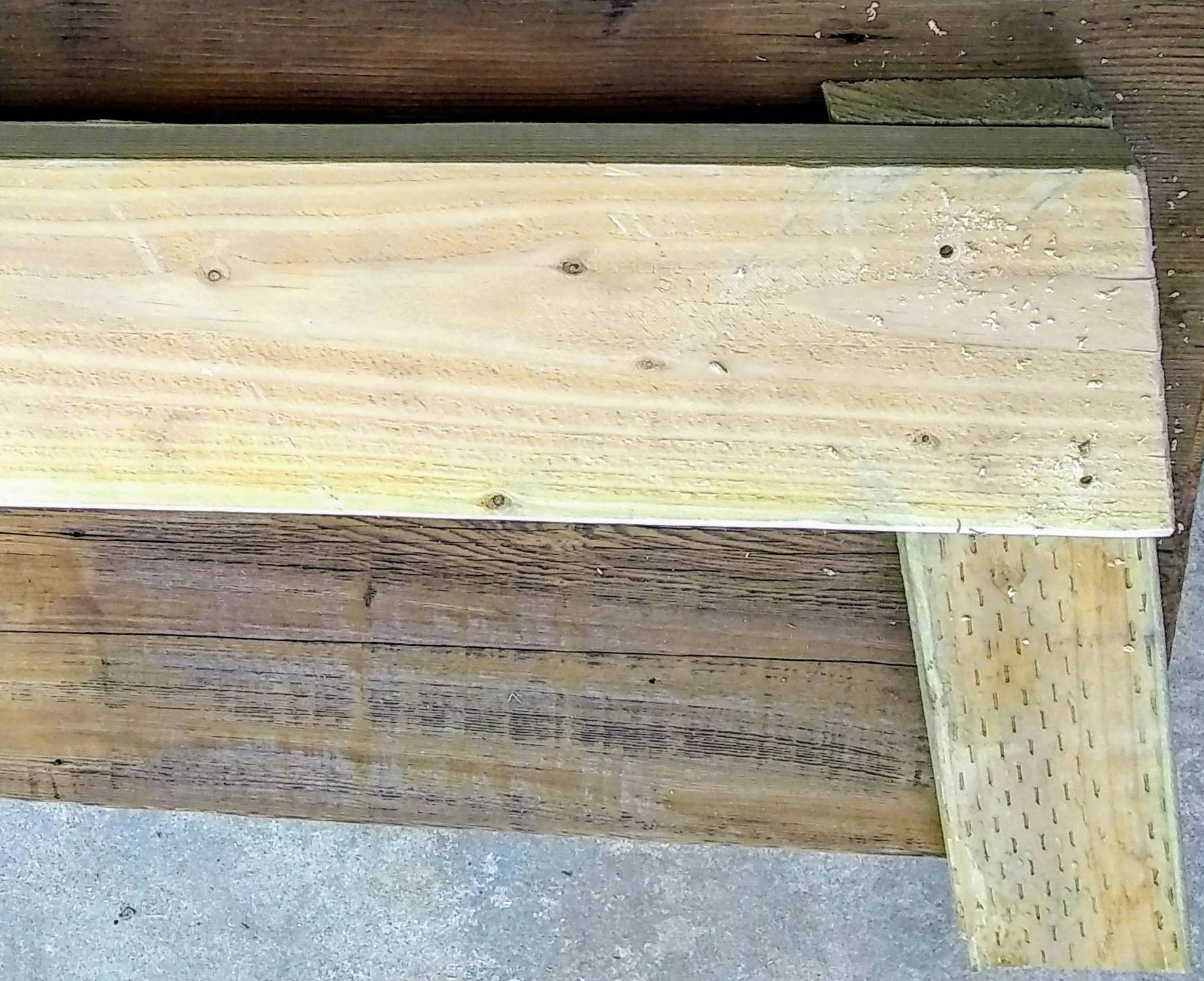 leg detail.jpg