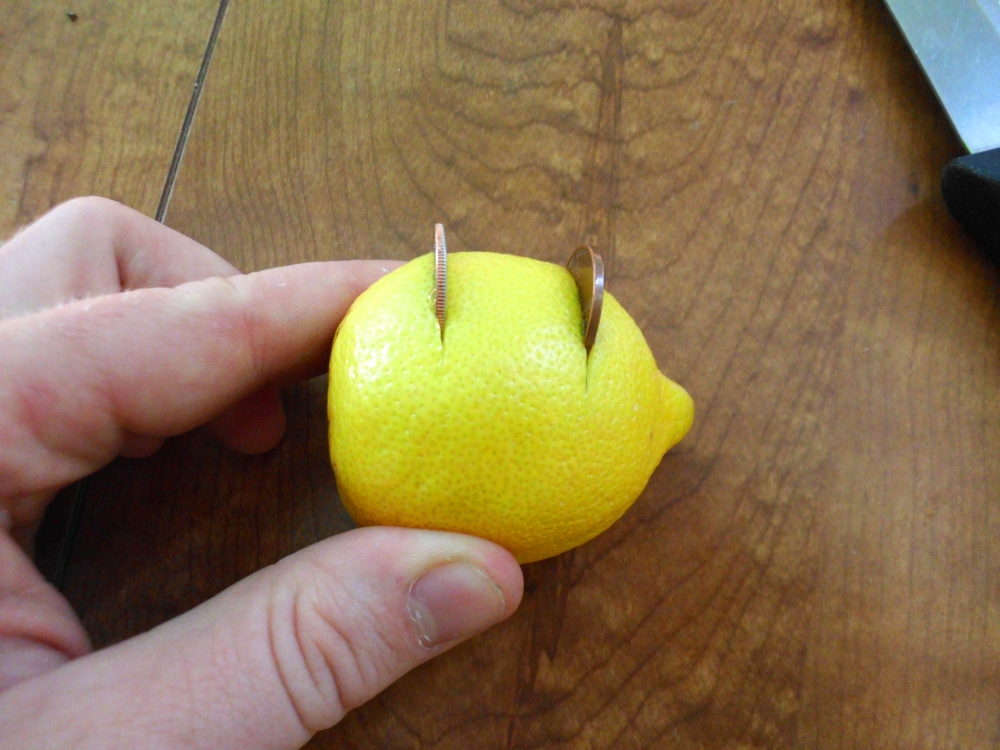 lemon6.JPG