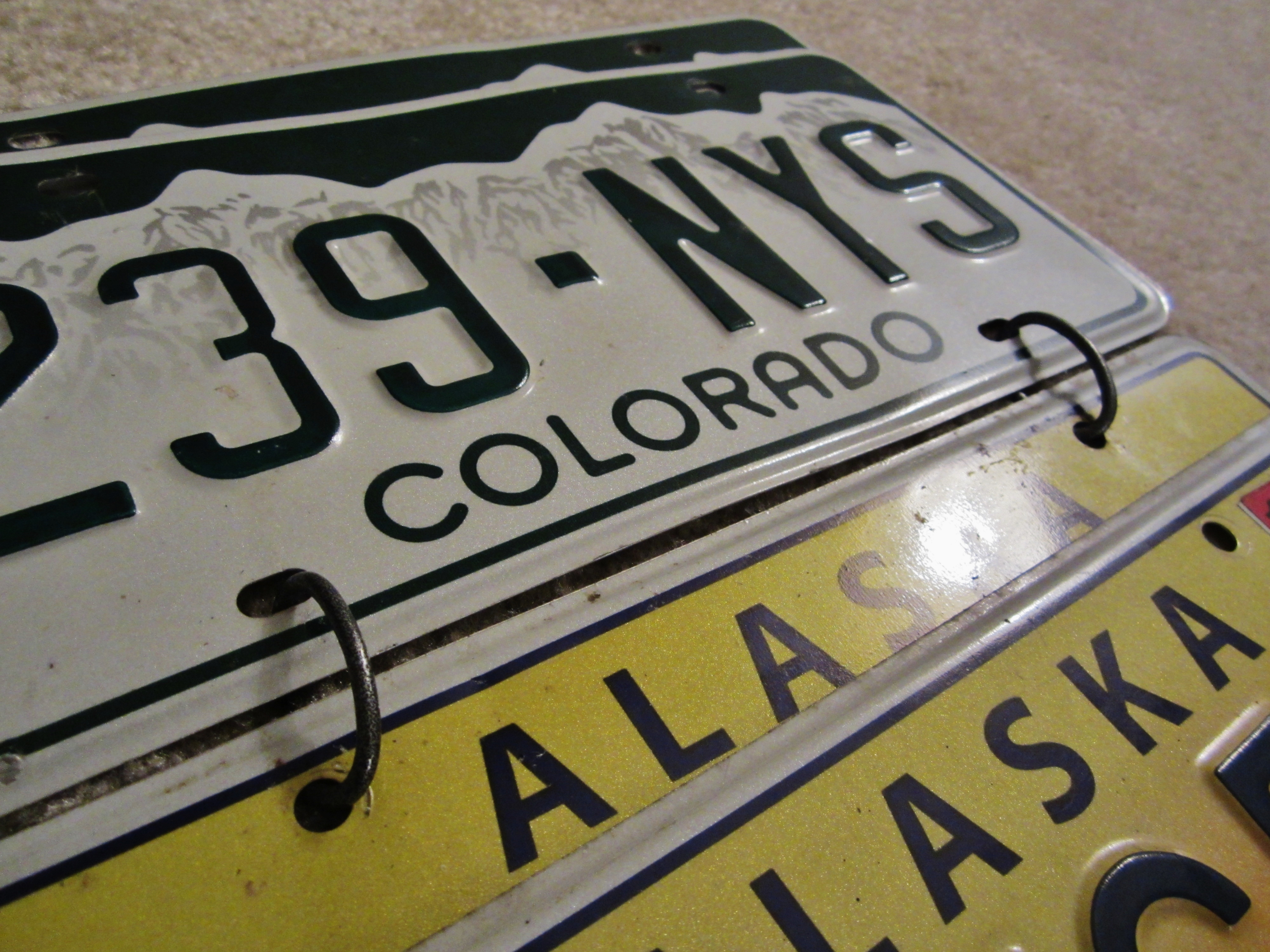 license plate 4.JPG