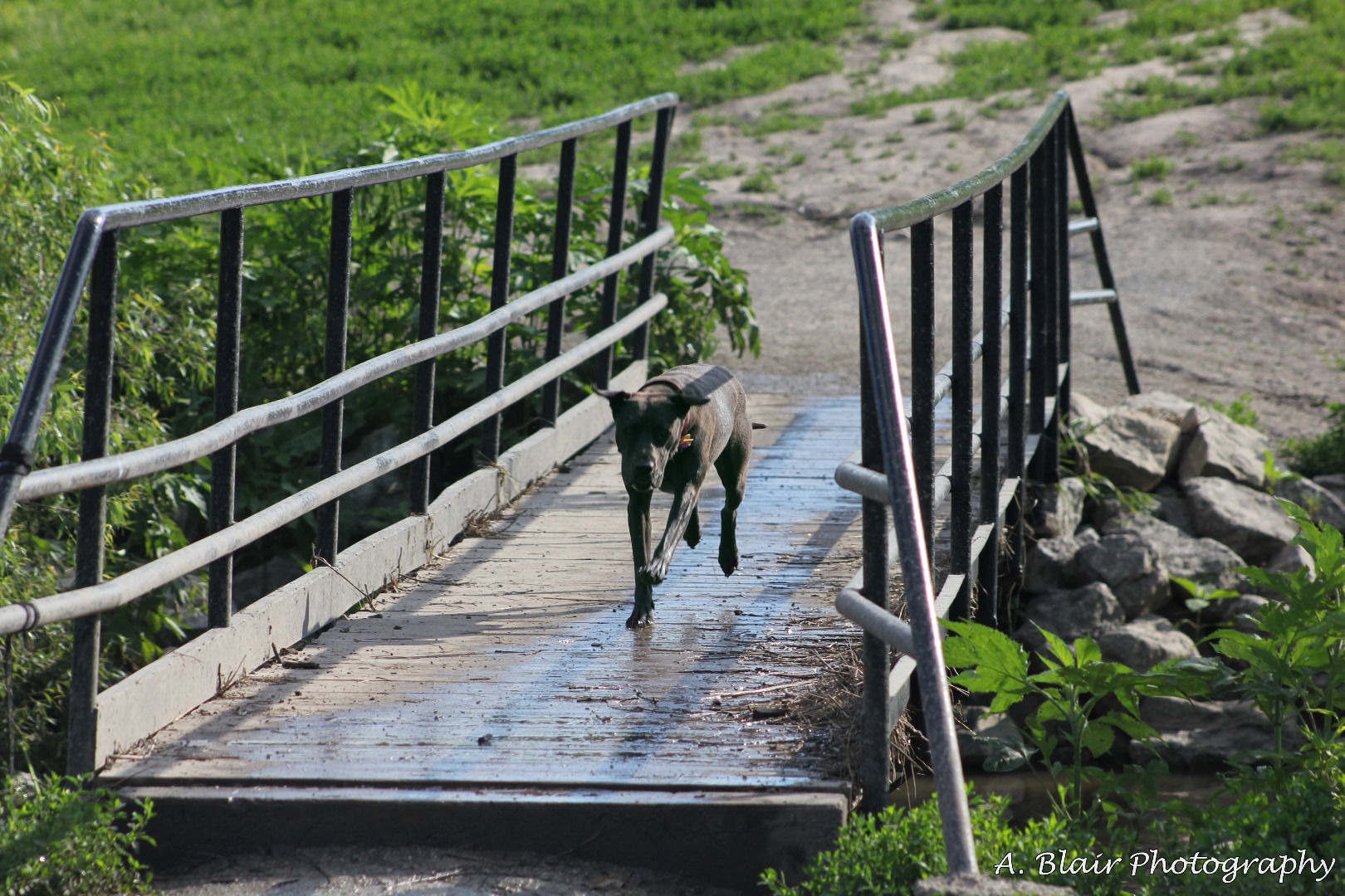 lido bridge.jpg