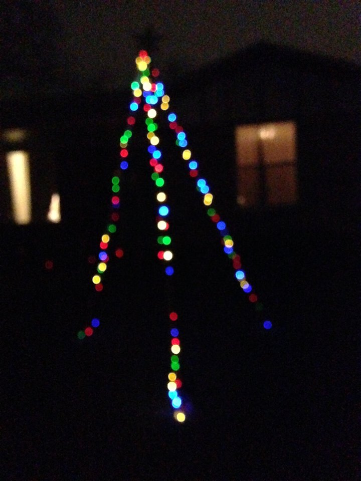 light tree.jpg