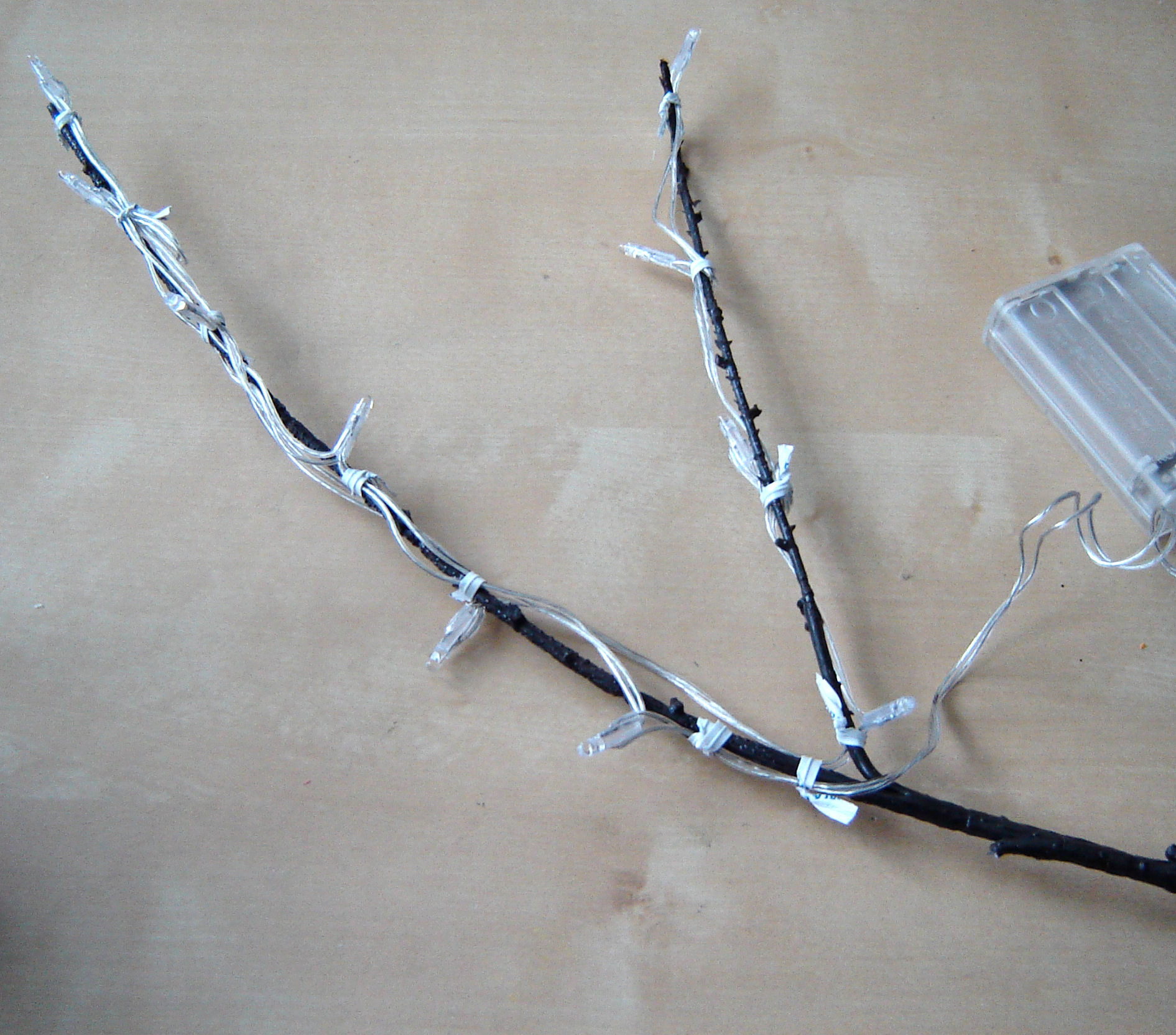 lightsonbranch.JPG