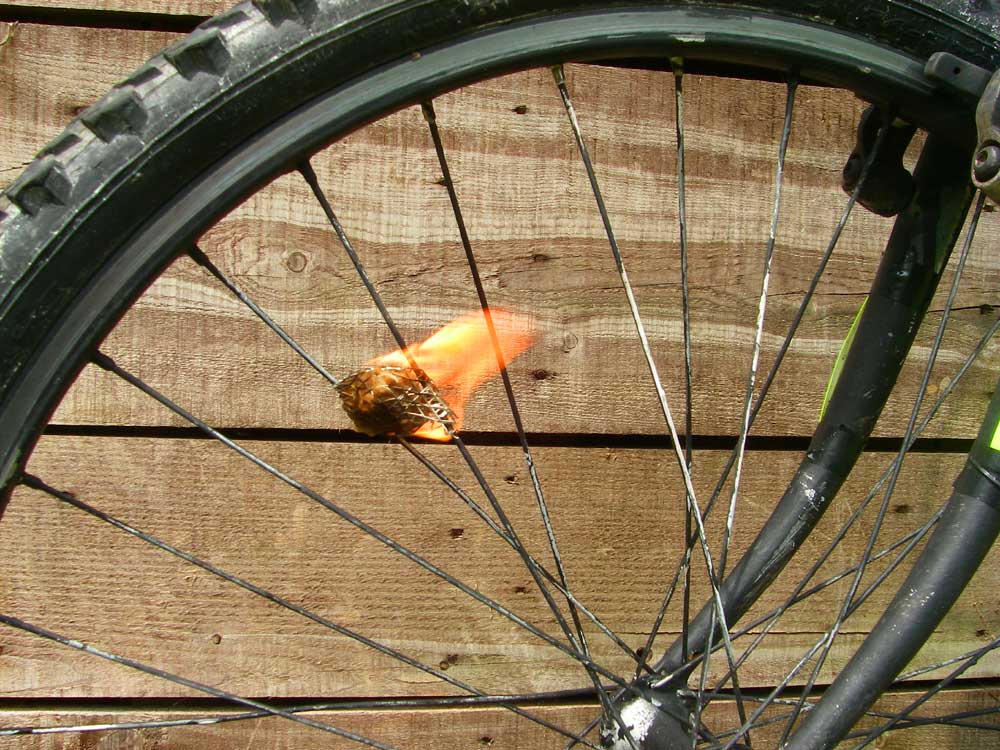 lightspoke.jpg