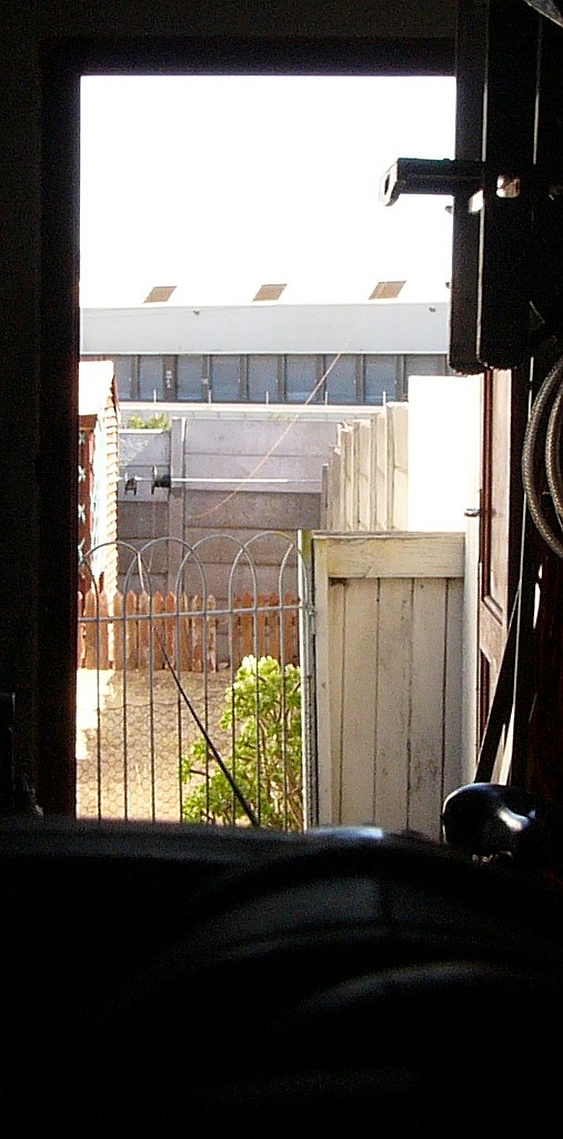 litzing wire1.JPG