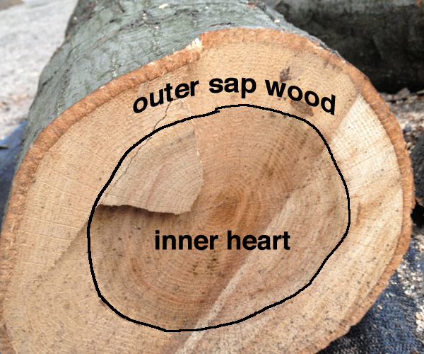 log.jpg