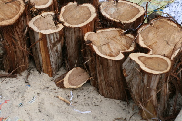 logpathway.jpg