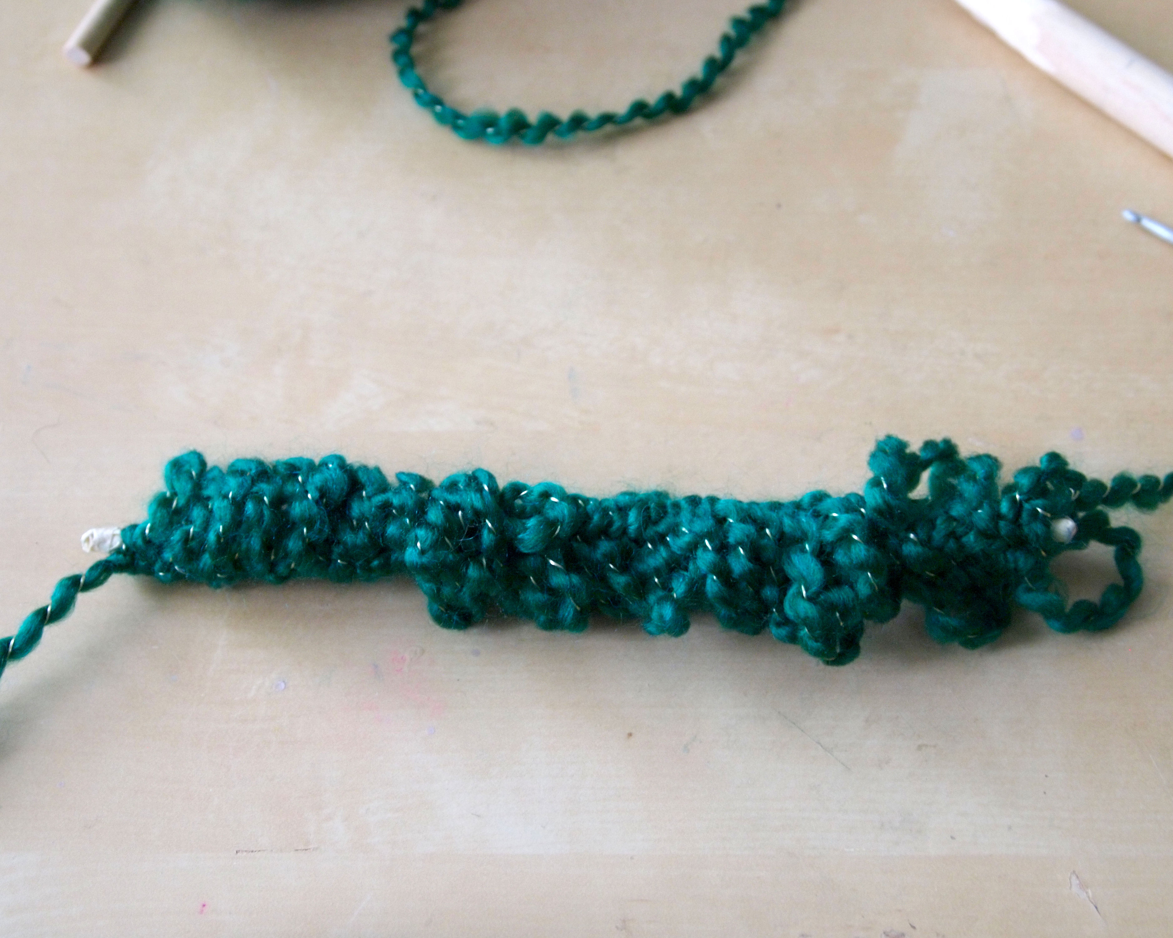 loopy branch.JPG
