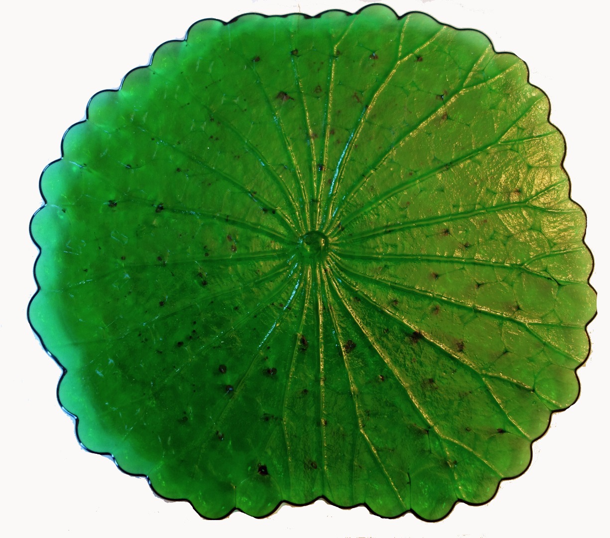 lotus leaf.jpg