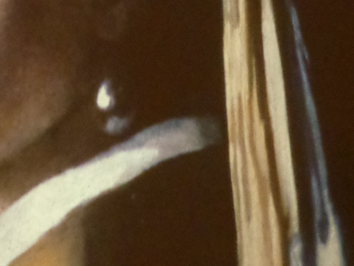 low-energy-slide-projector-girl-with-pearl-earring-detail-cc-by-openproducts-2018.jpg