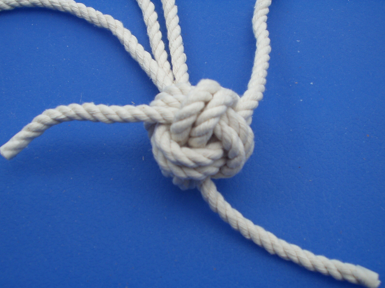 manrope 008.JPG