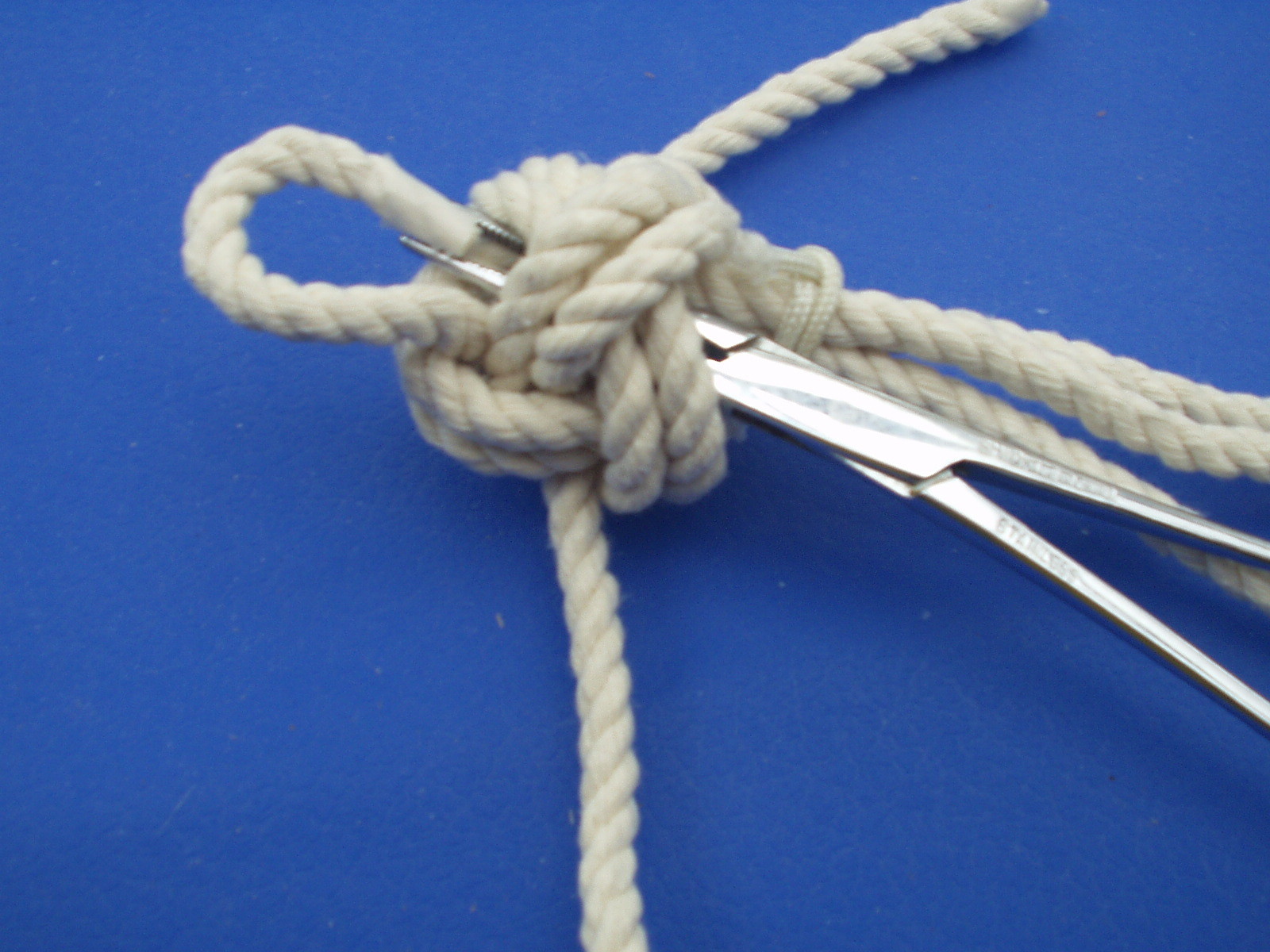 manrope 010.JPG