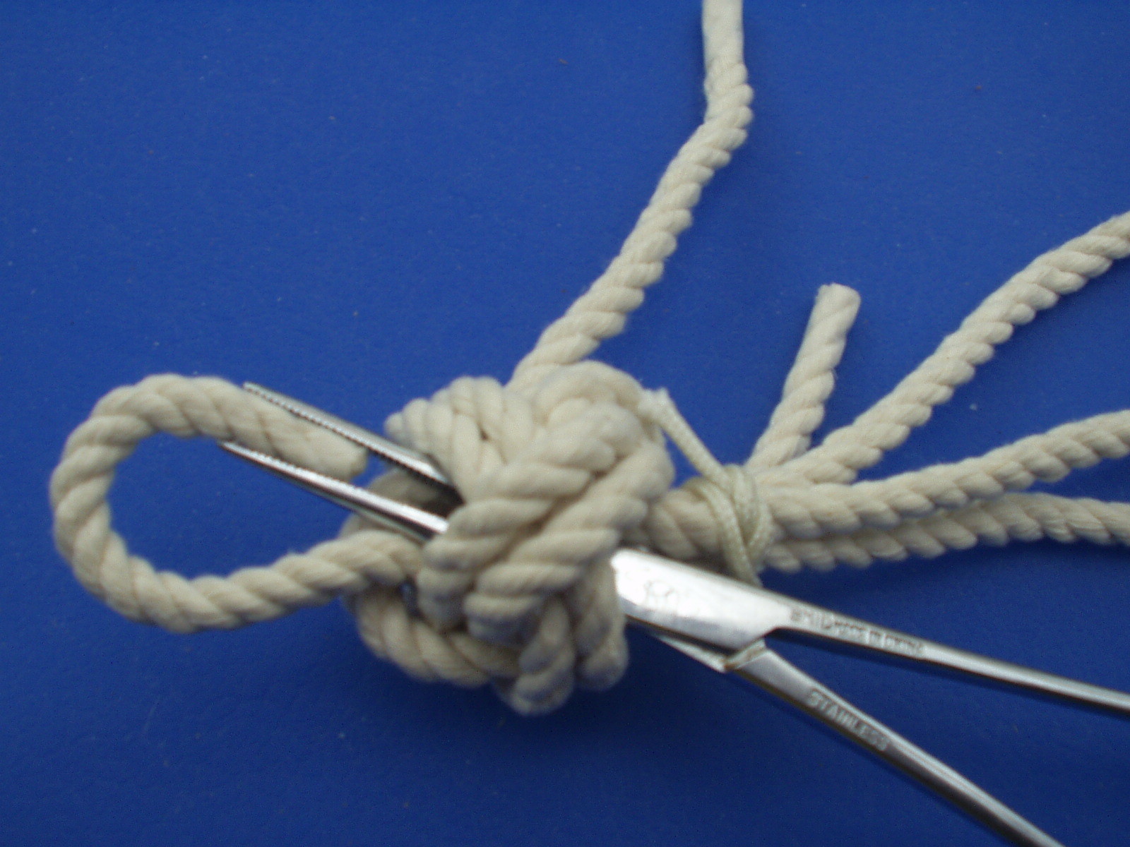 manrope 012.JPG