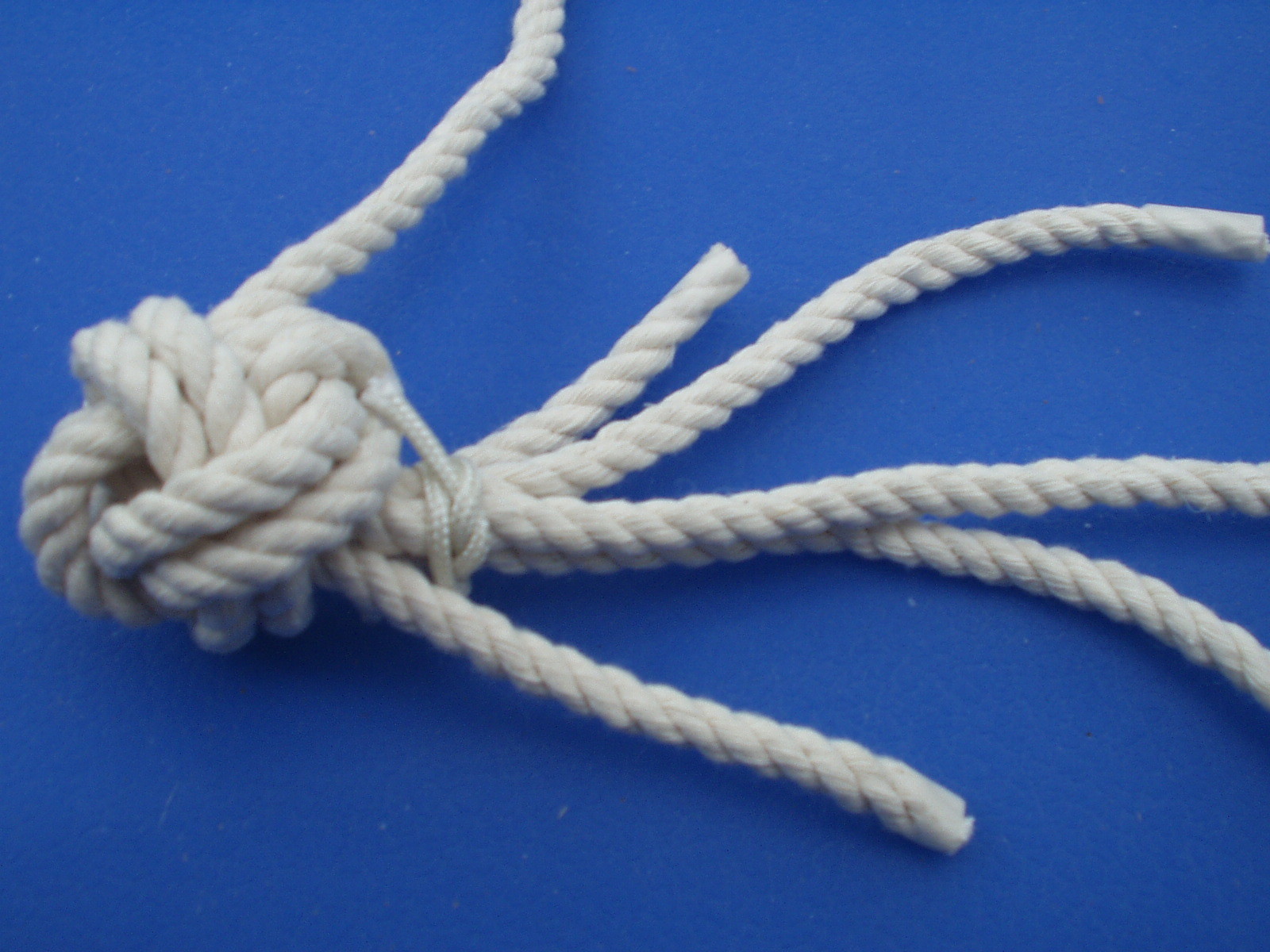 manrope 013.JPG