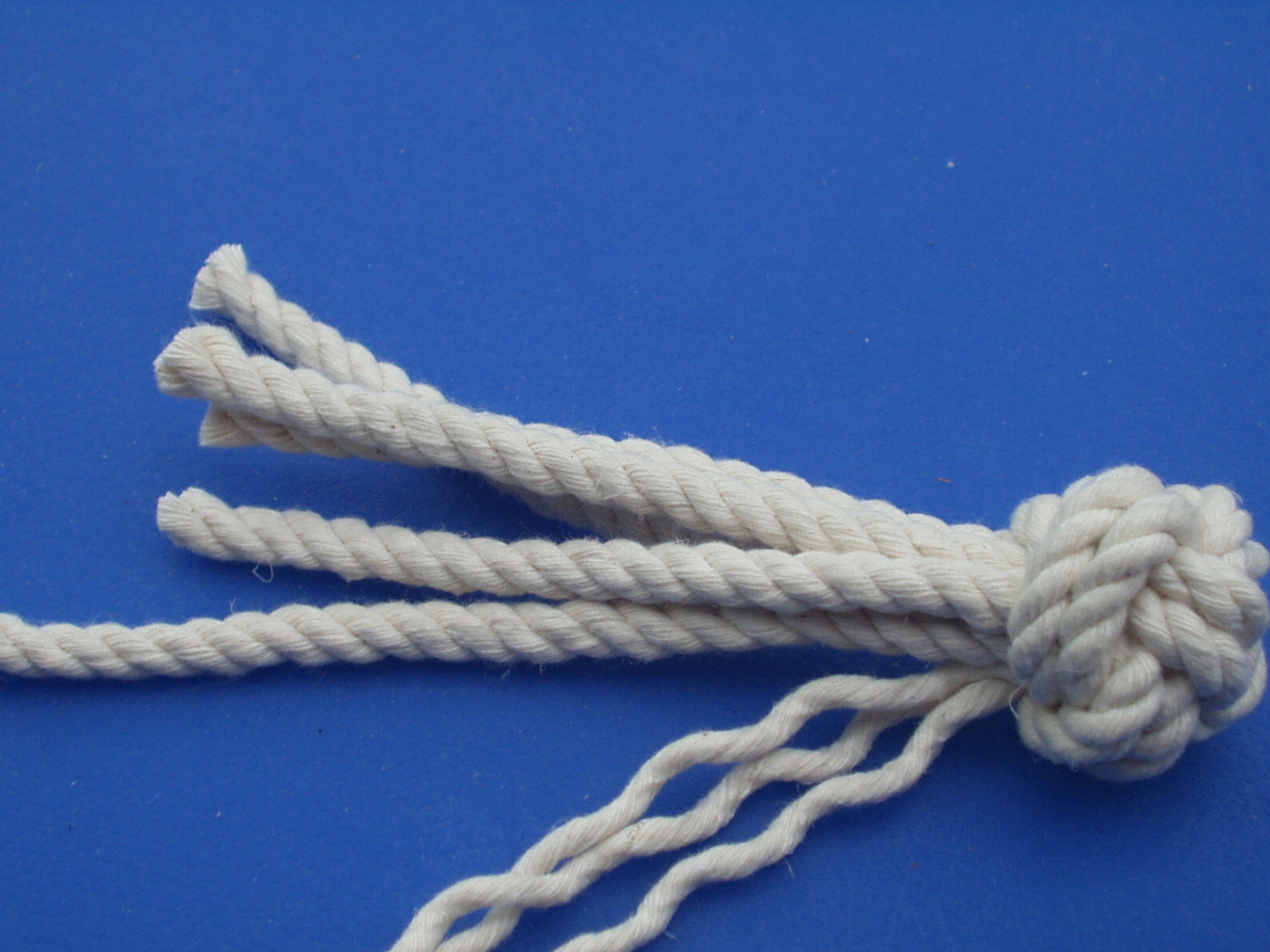 manrope 017.JPG