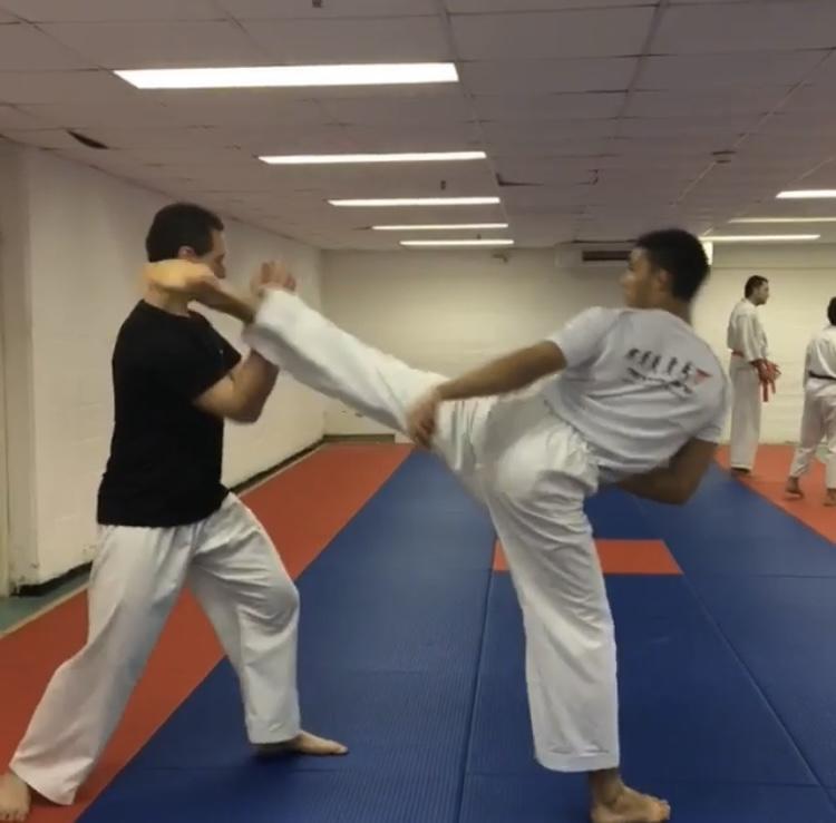 mawashi geri 2.jpg