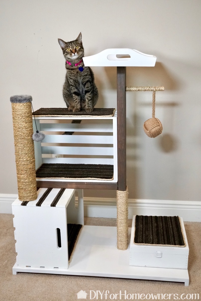 mdp-cat-condo - 25.jpg