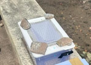 mesh.jpg
