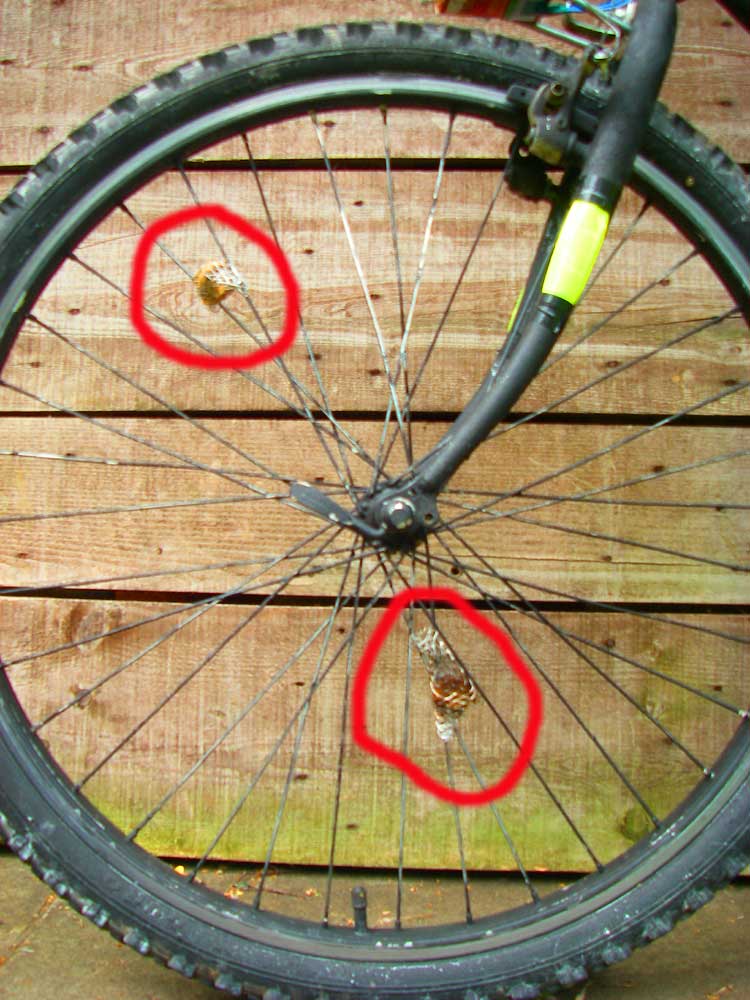 meshspoke3.jpg