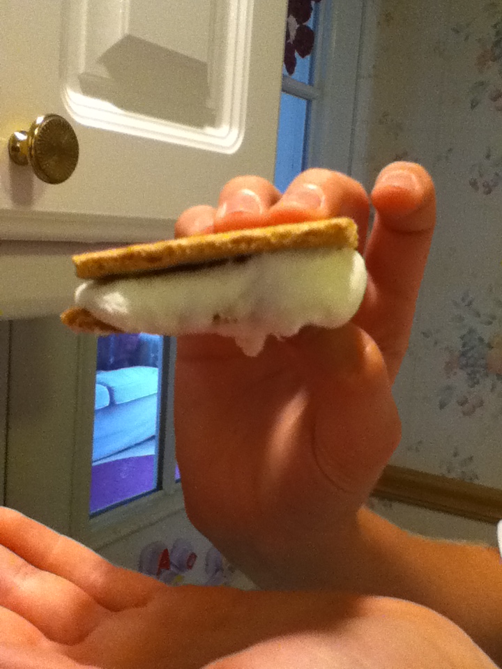 microwave smorews 002.JPG