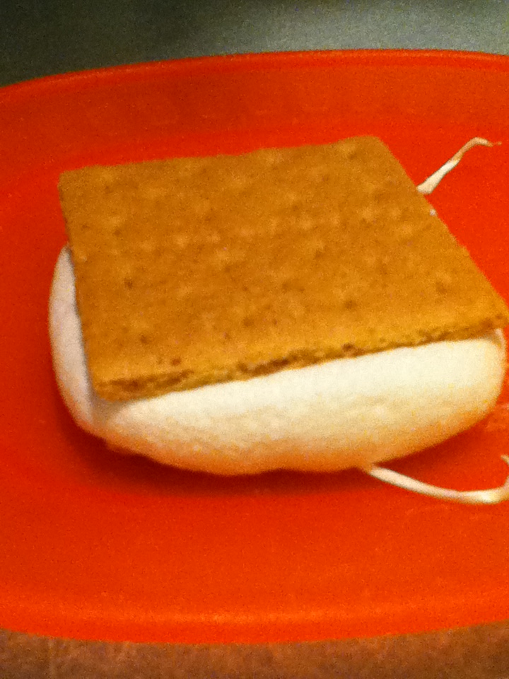 microwave smorews 003.JPG