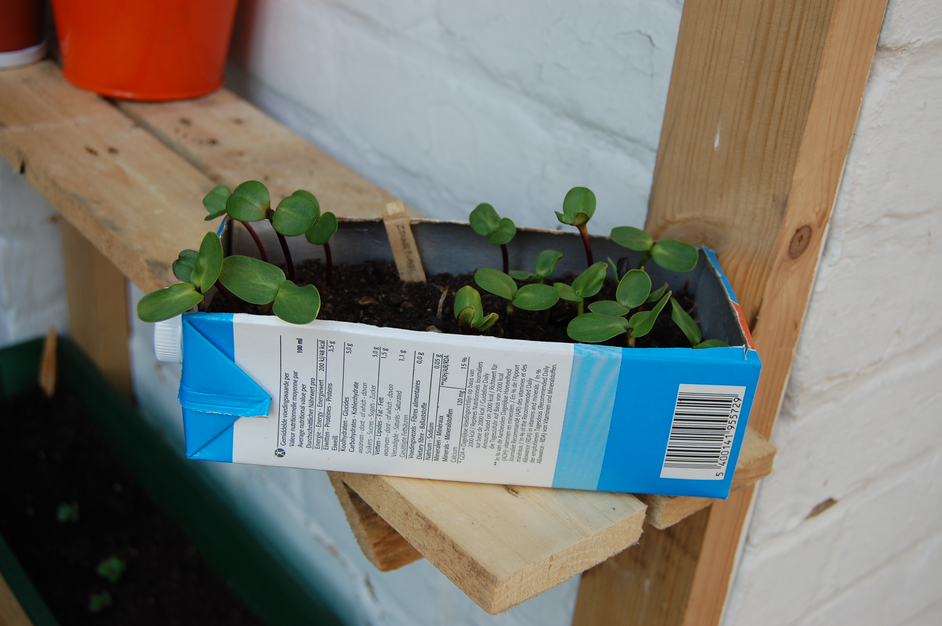 milk carton seedling container 05.jpg