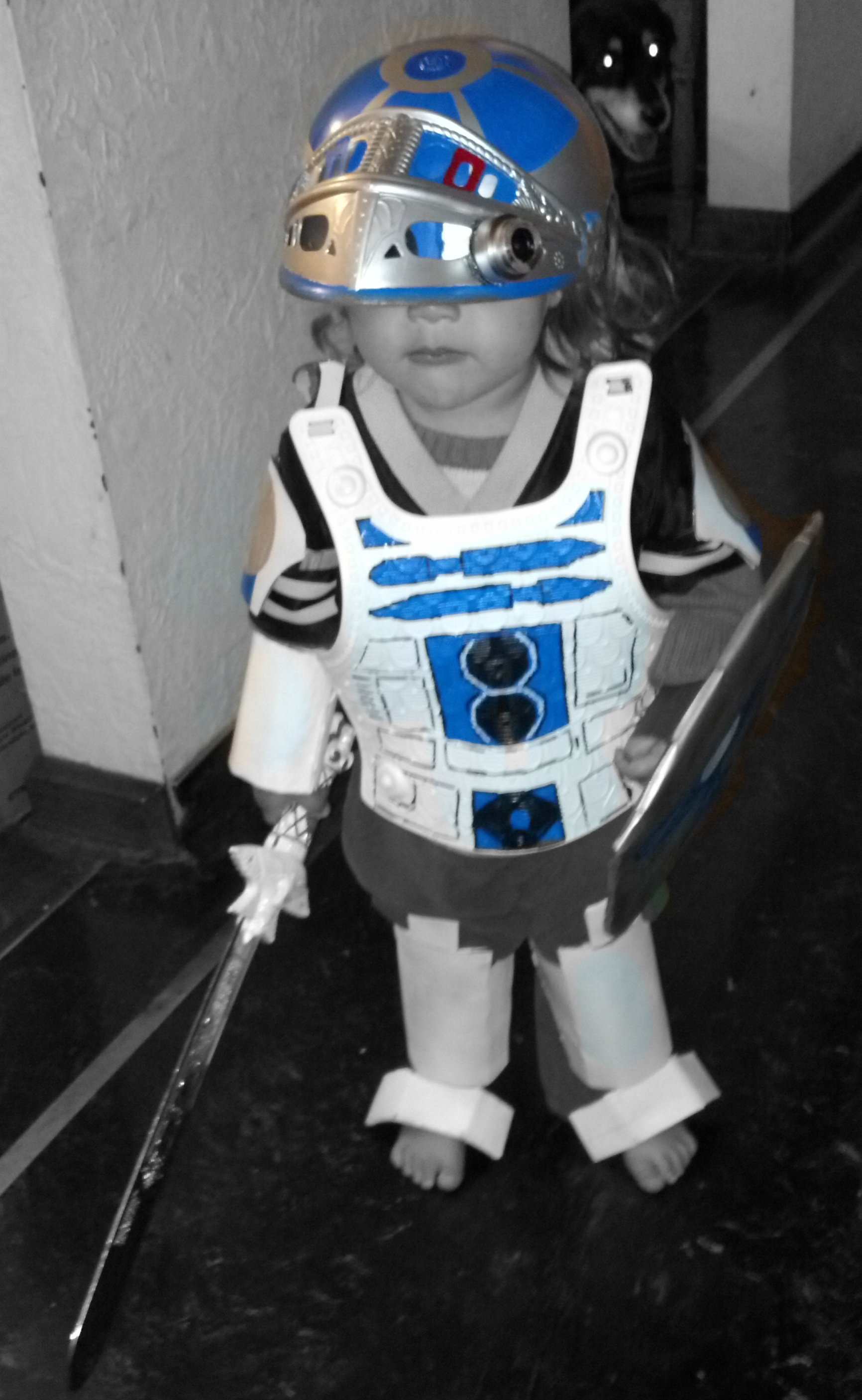 milo r2d2.jpg