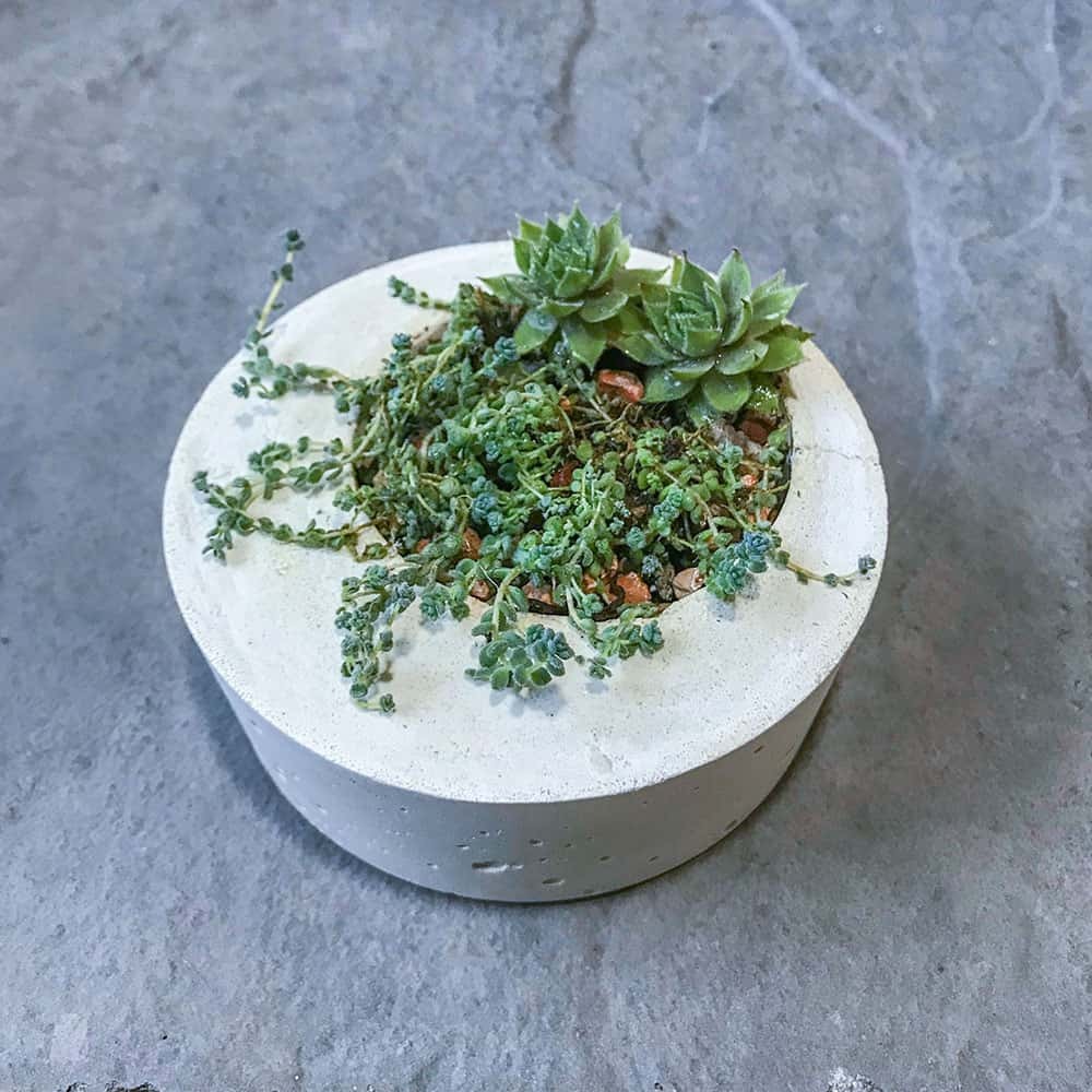 modern concrete planter.jpg