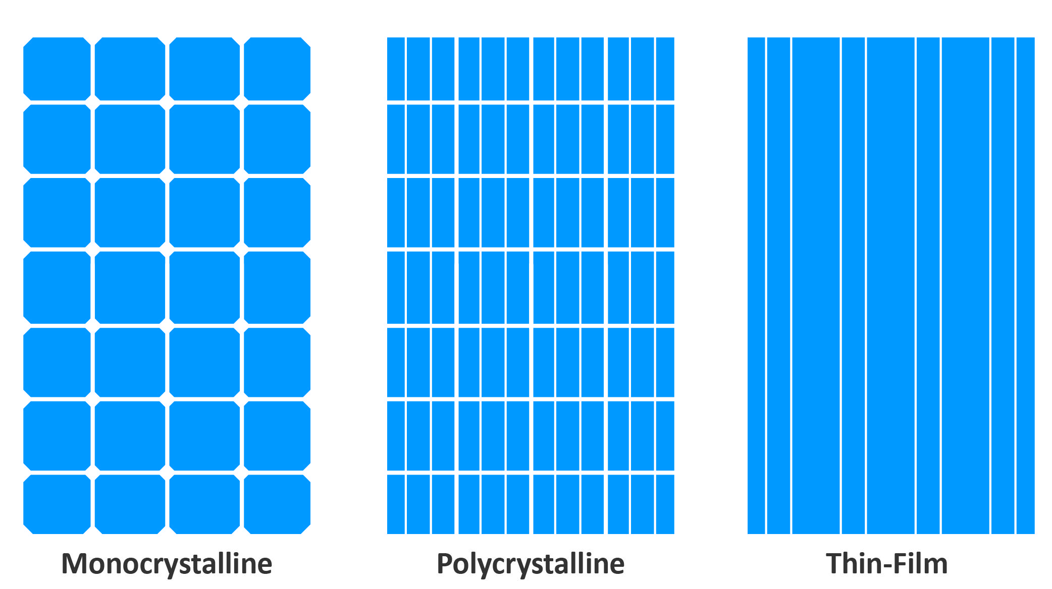 mon-poly and thin.jpg