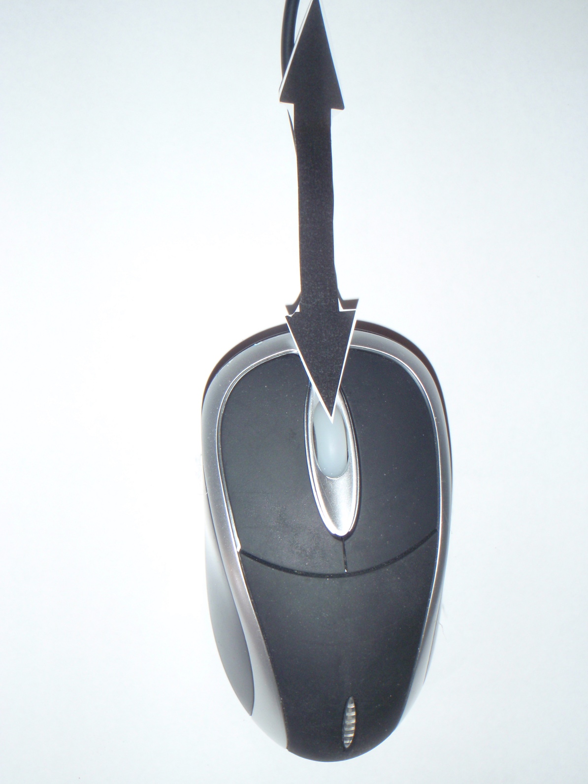 mouse 2.JPG